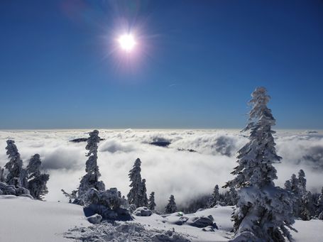 skitour bayerischer wald