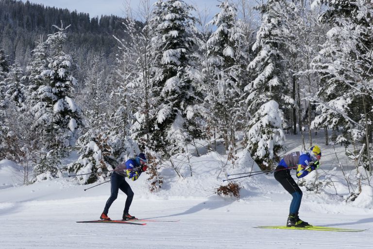 skatingkurs langlaufkurs bayerischer wald bodenmais regen zwiesel arber geißkopf deggendorf