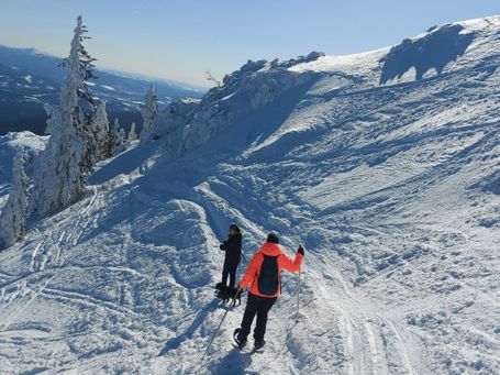 schneeschuhwandern jga teambuilding firmenevent