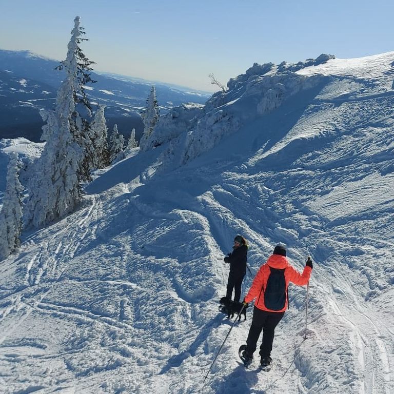 schneeschuhwandern arber geißkopf bodenmais stenglmar