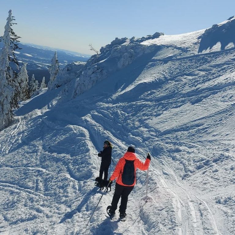 schneeschuhwandern arber geißkopf bodenmais stenglmar